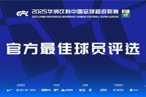 开云-中超第18轮最佳候选：瓦科、德尔加多、刘祝润、米特里策等入围